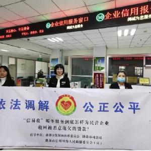 隴南綠盾企業征信服務市場調查與發展前景分析