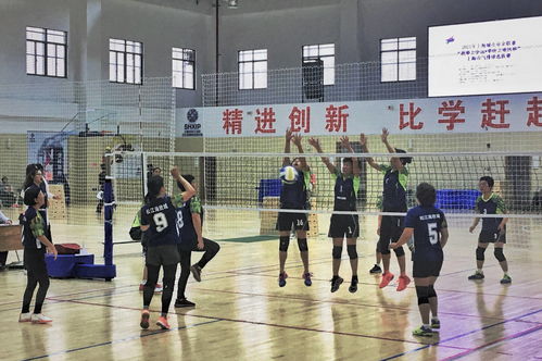 2021年上海城市業余聯賽“我要上全運”莘莊工業區杯氣排球選拔賽圓滿落幕，上海中小企業網絡技術服務助力全民健身